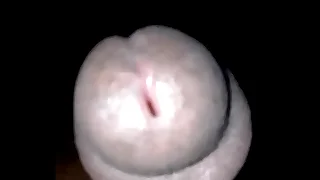 9593 gay amateur porn videos